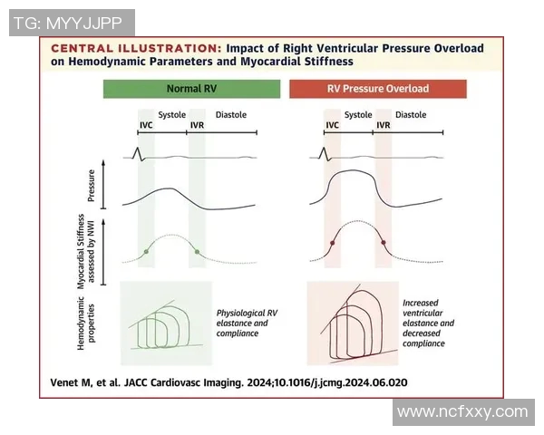 深入探讨北京羽毛球队成员个人能力表现的数据分析与评估