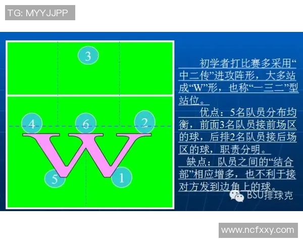 深圳排球队防反打法深度解析与战术应用探讨