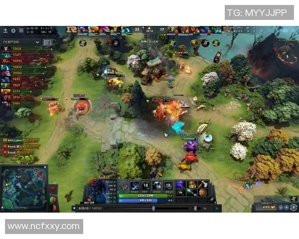 RNG战队在DOTA2比赛中的进攻策略分析与成败经验总结