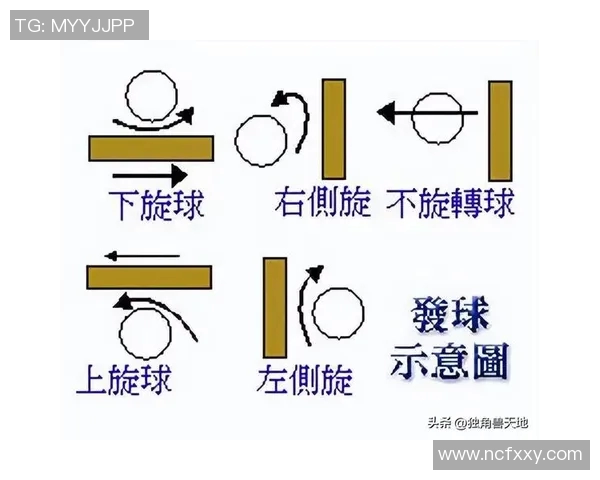 从零起步掌握乒乓球配合技巧全攻略助你成为乒乓高手