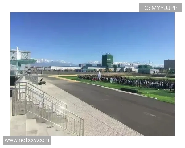 乒乓球赛场上的追梦旅程：陈敏的奋斗与成长故事