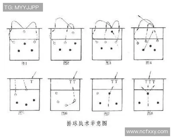广州排球队中路突破战术解析与实战应用探讨