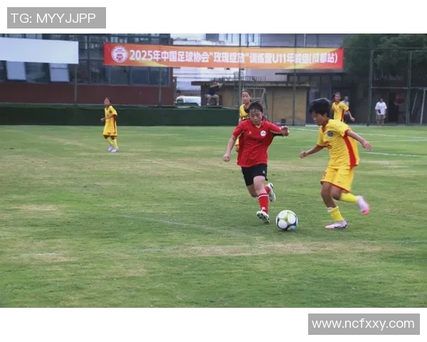 成都足球队引领最新足球技术TOP10榜单，探索未来足球新趋势