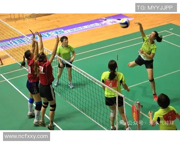 聚焦排球：探讨北京排球队员个人能力与团队协作的关系与发展