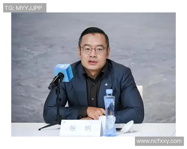 张帆在职场中的成长与挑战：从新手到行业领军者的奋斗历程与经验分享