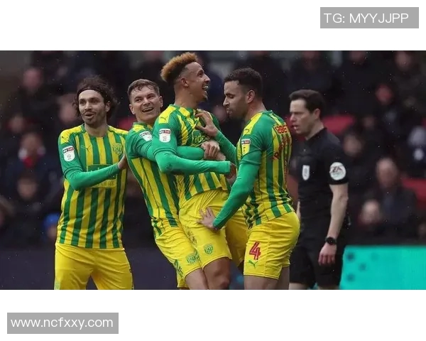 斯旺西主场迎战诺维奇争夺英冠积分榜重要位置