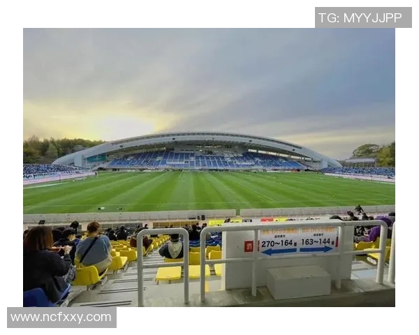 新泻天鹅与黄蜂精彩对决直播全程回顾及赛后分析