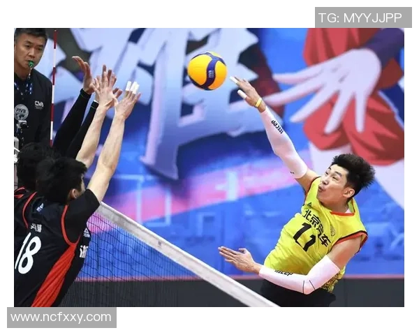 巴西排球与法国排球的巅峰对决谁将赢得荣耀之战