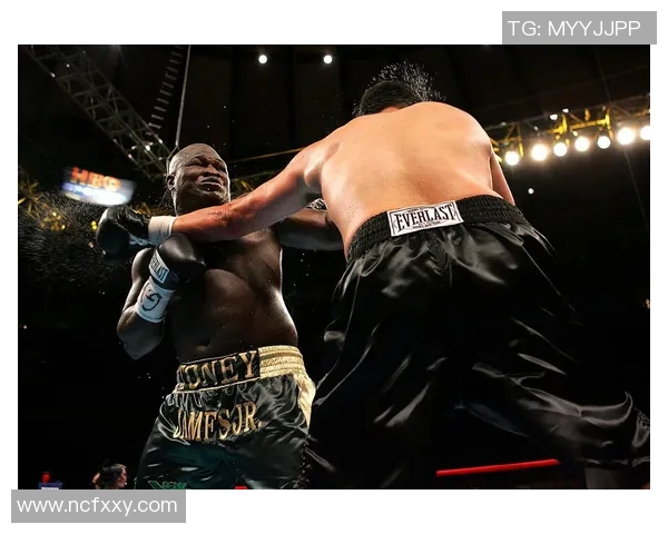 泰森与小罗伊琼斯世纪对决的精彩结局揭晓引发拳击界热议