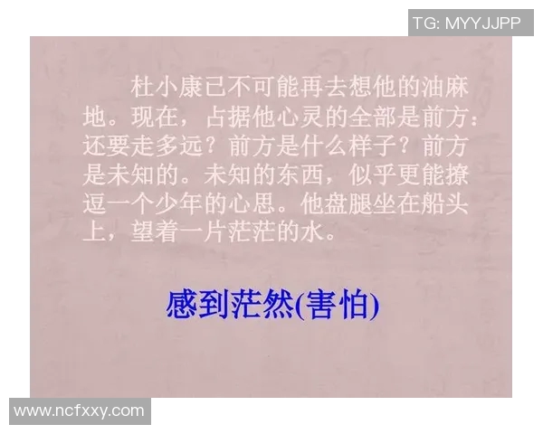萨林杰的文学魅力与人生哲学探讨：从孤独到自我救赎的心灵之旅
