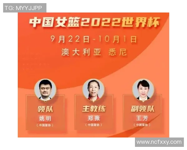 篮球明星比例分析揭示职业发展与社会影响的深刻关系