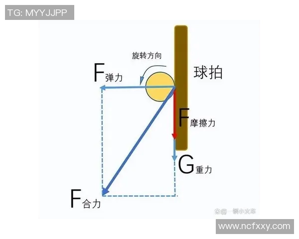 乒乓球新手必看：快速掌握基础技巧与训练方法的全面指南