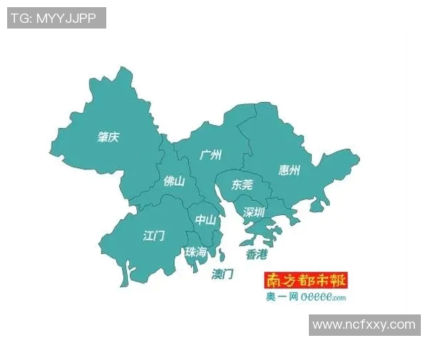 深圳排球队阵地战分析：优劣势与未来发展方向探讨