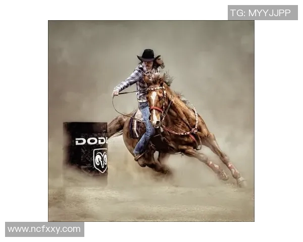 极限运动战术解析北京极限运动队的区域防守体系与实践探索